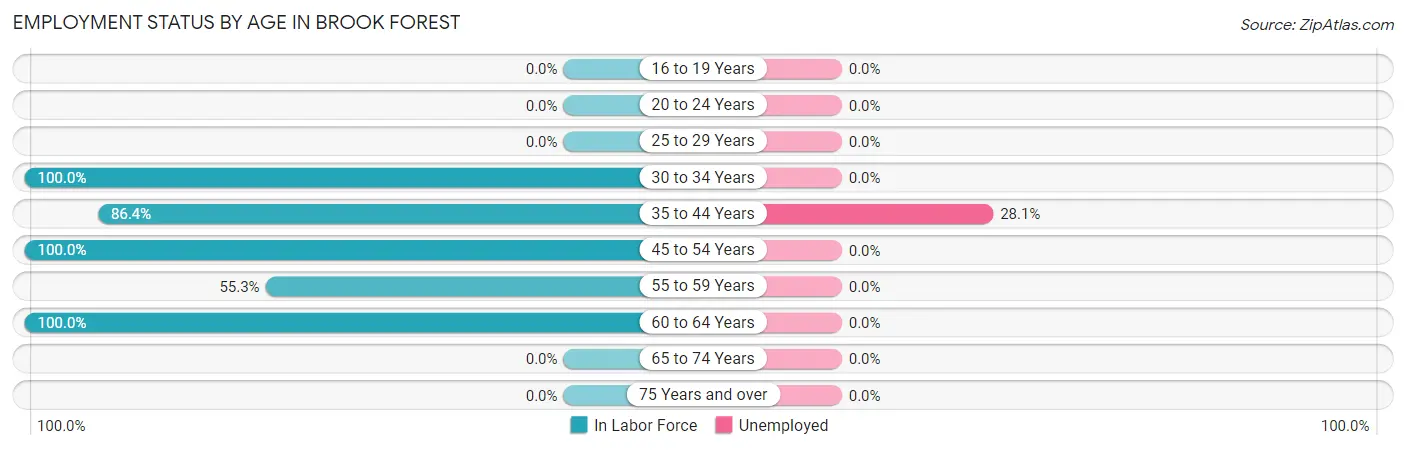 Employment Status by Age in Brook Forest
