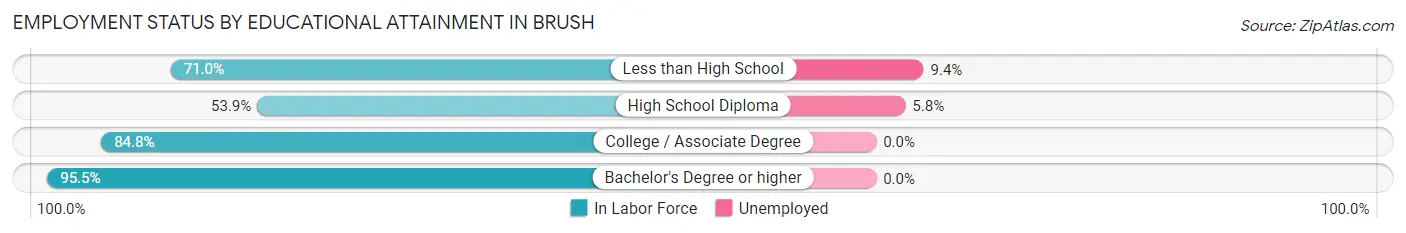 Employment Status by Educational Attainment in Brush