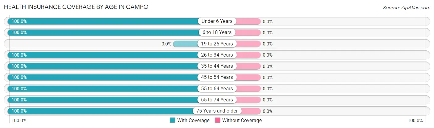 Health Insurance Coverage by Age in Campo