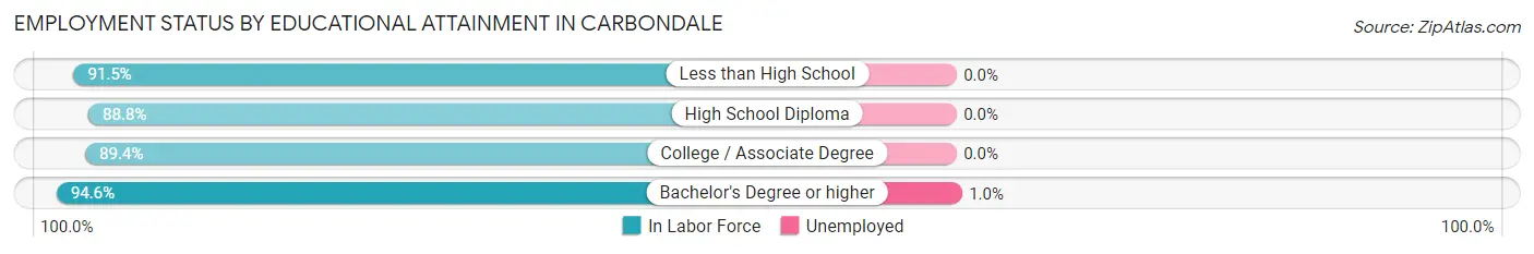 Employment Status by Educational Attainment in Carbondale