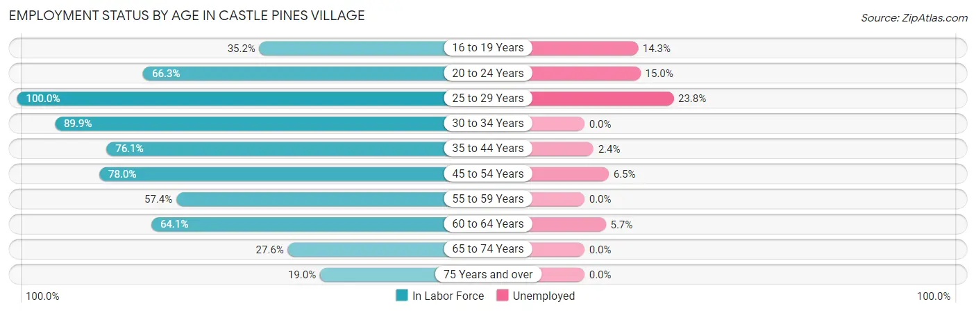 Employment Status by Age in Castle Pines Village