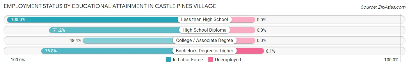 Employment Status by Educational Attainment in Castle Pines Village