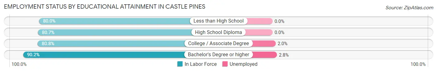 Employment Status by Educational Attainment in Castle Pines