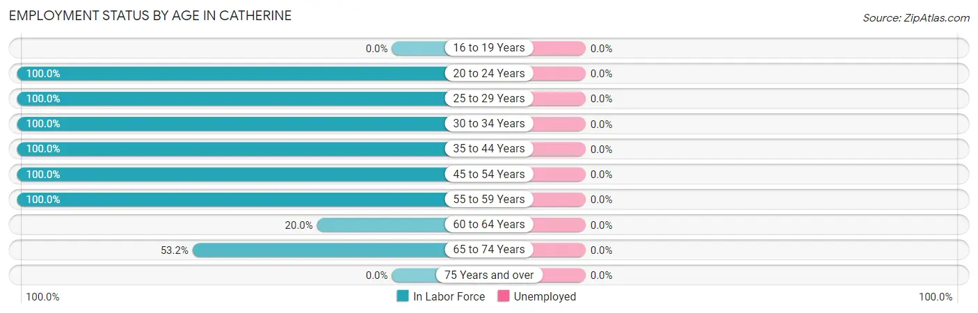 Employment Status by Age in Catherine