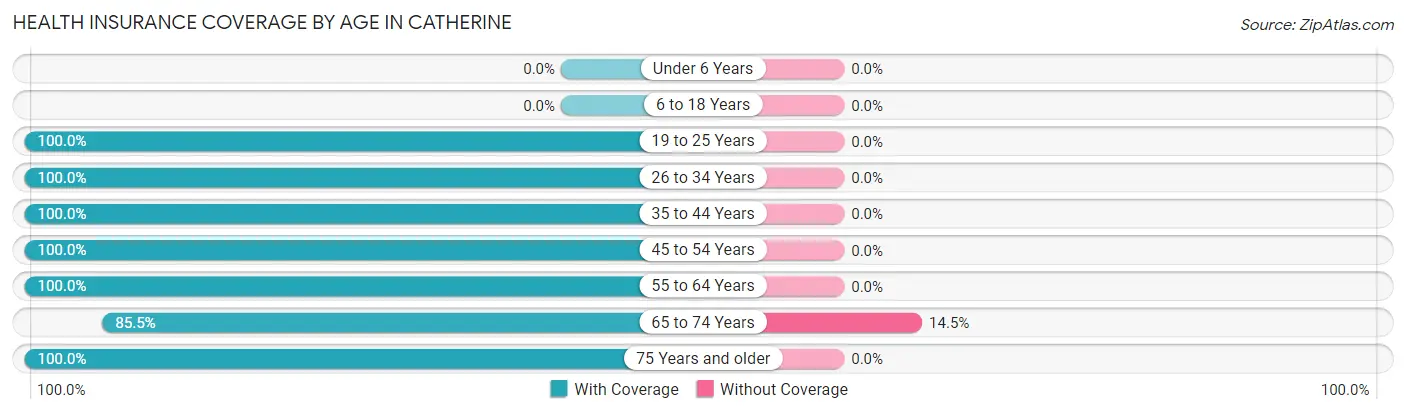 Health Insurance Coverage by Age in Catherine