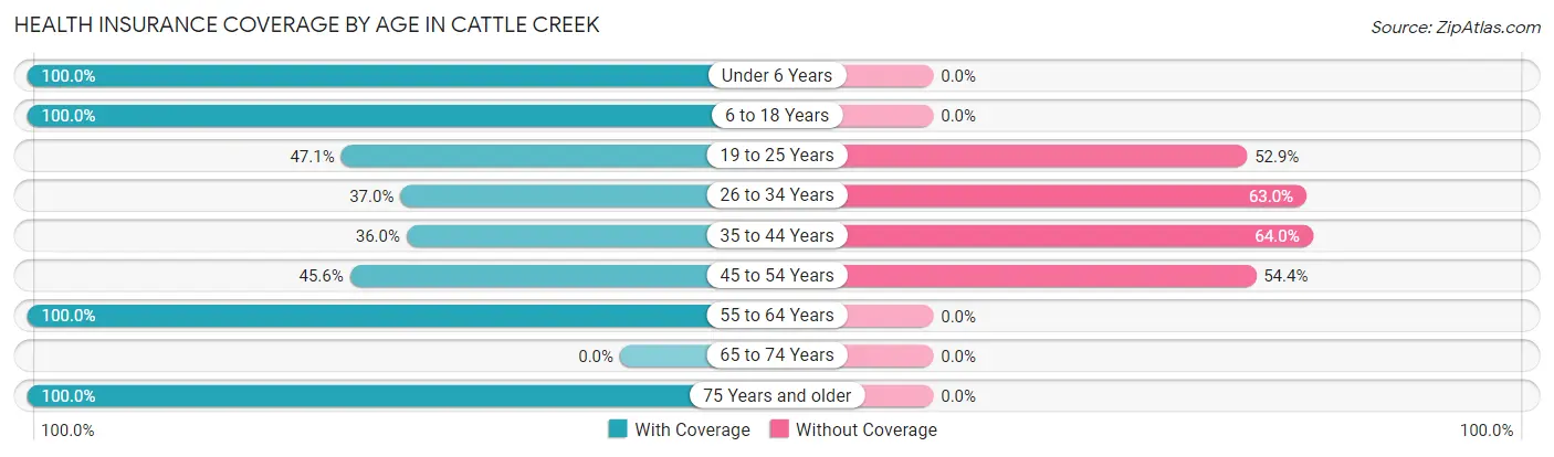 Health Insurance Coverage by Age in Cattle Creek