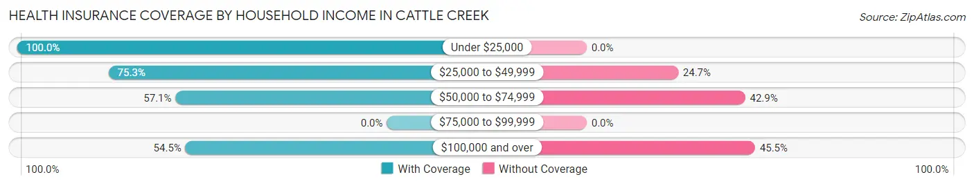 Health Insurance Coverage by Household Income in Cattle Creek