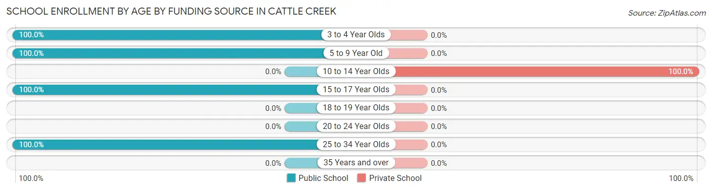 School Enrollment by Age by Funding Source in Cattle Creek