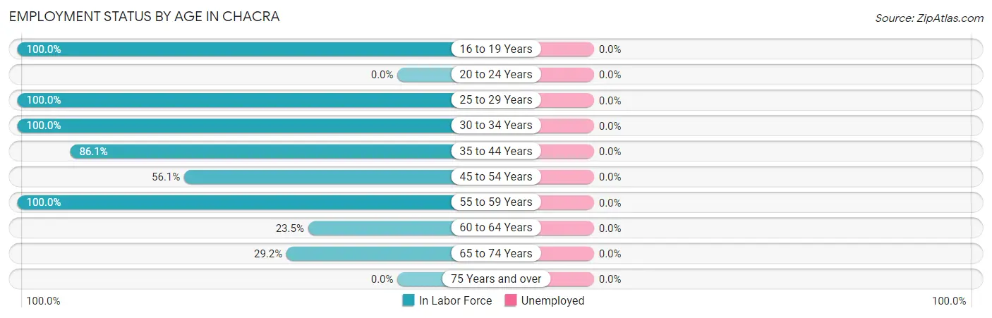 Employment Status by Age in Chacra