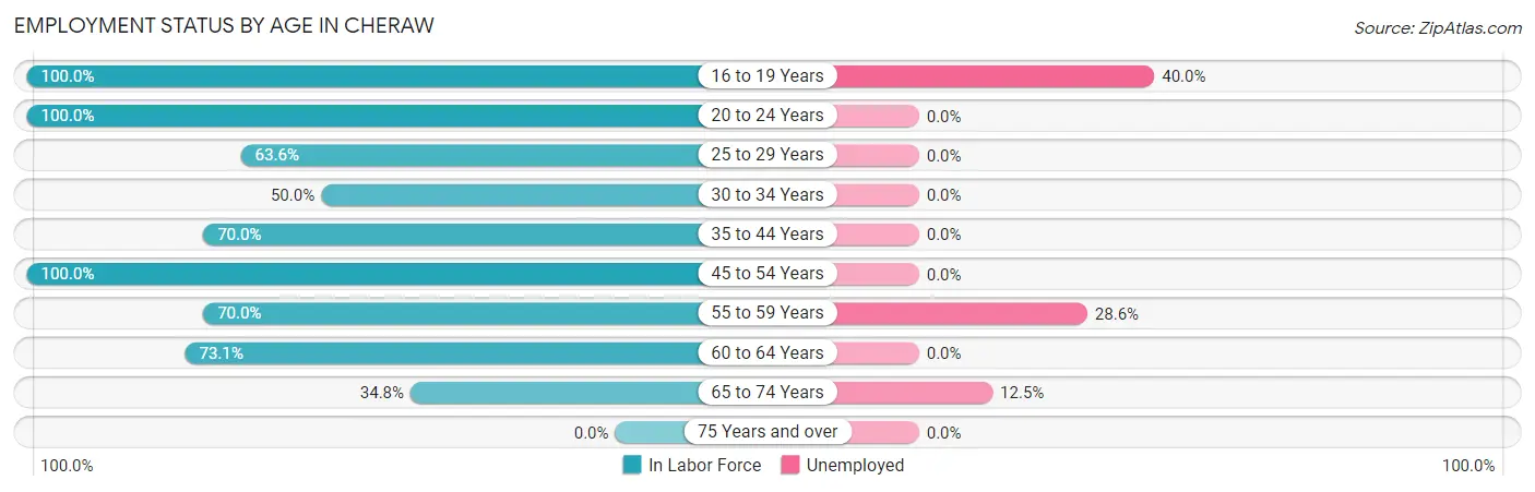 Employment Status by Age in Cheraw