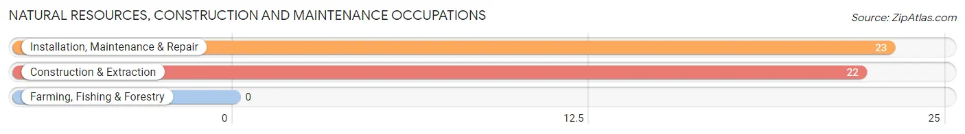 Natural Resources, Construction and Maintenance Occupations in City of Creede