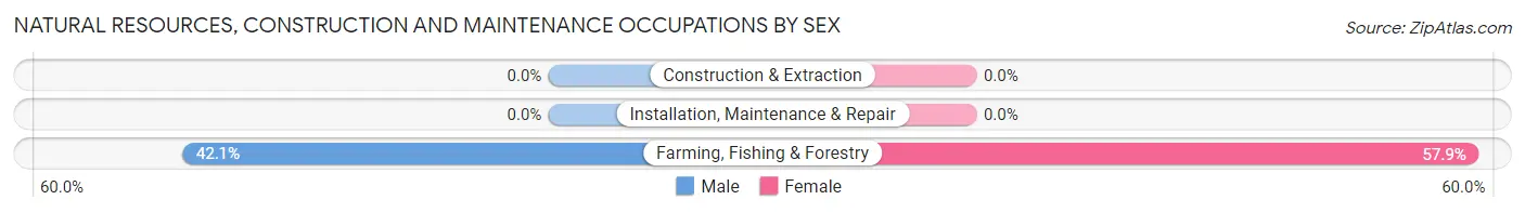 Natural Resources, Construction and Maintenance Occupations by Sex in Cokedale