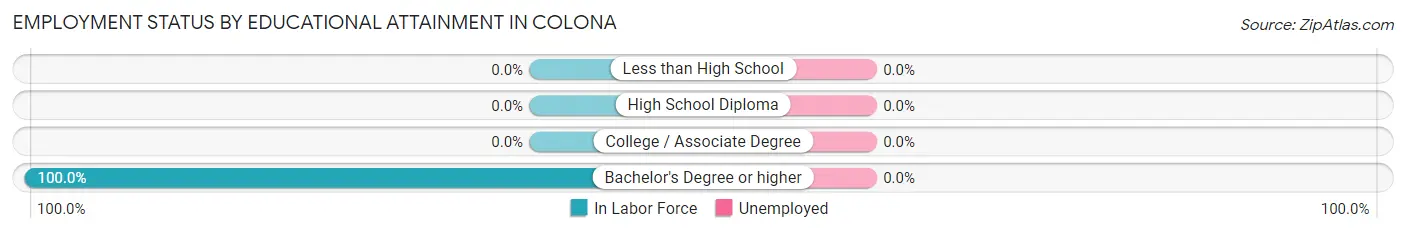 Employment Status by Educational Attainment in Colona