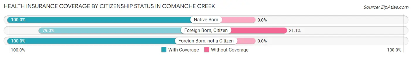 Health Insurance Coverage by Citizenship Status in Comanche Creek
