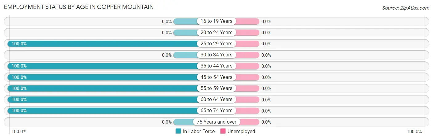 Employment Status by Age in Copper Mountain