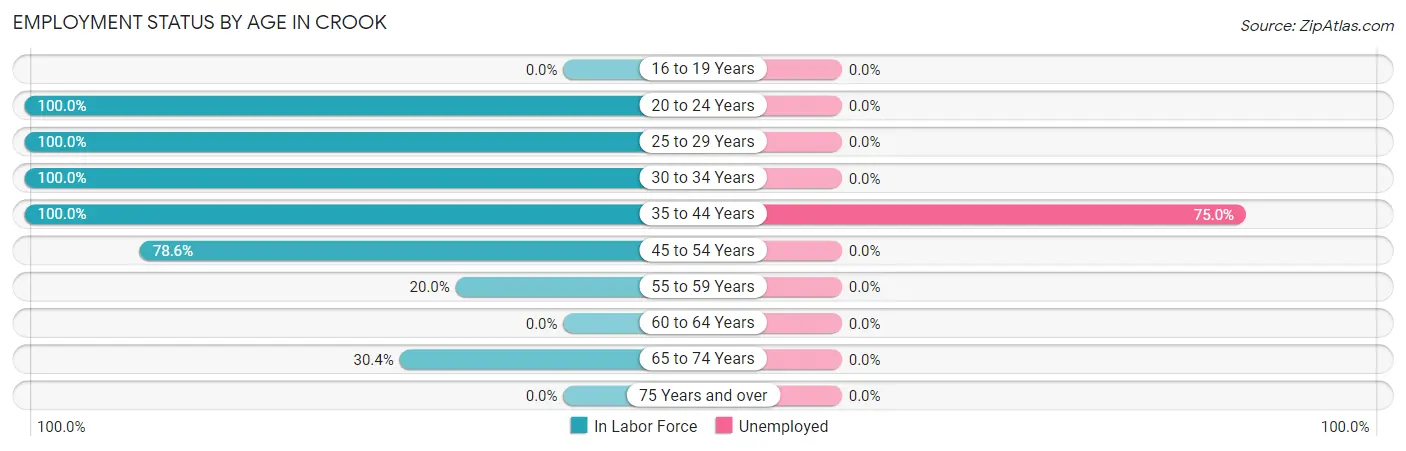 Employment Status by Age in Crook