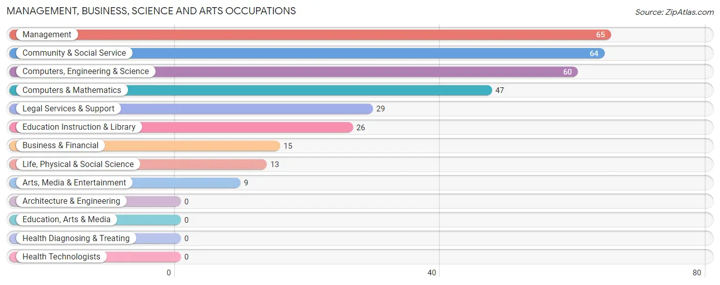 Management, Business, Science and Arts Occupations in Dillon