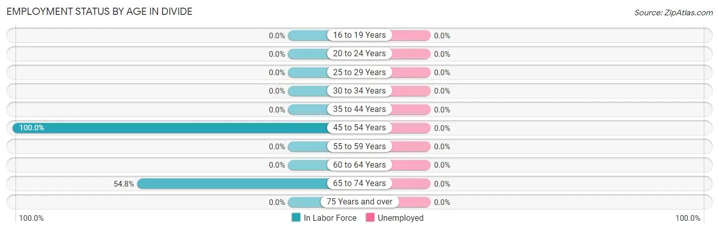 Employment Status by Age in Divide