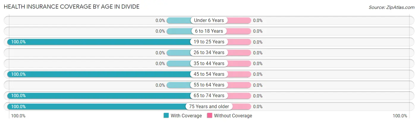 Health Insurance Coverage by Age in Divide