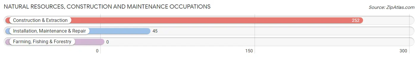 Natural Resources, Construction and Maintenance Occupations in Eagle