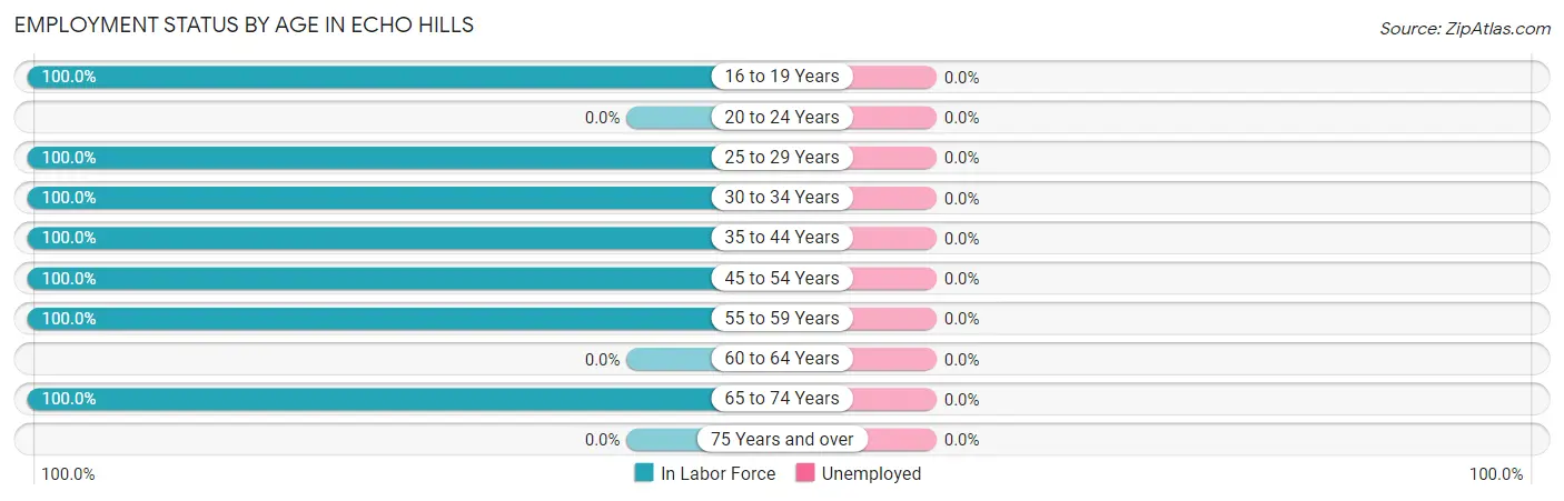 Employment Status by Age in Echo Hills