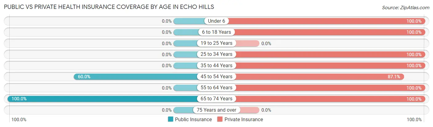 Public vs Private Health Insurance Coverage by Age in Echo Hills