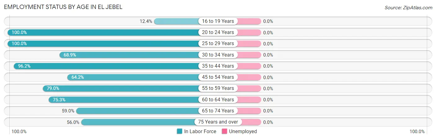 Employment Status by Age in El Jebel