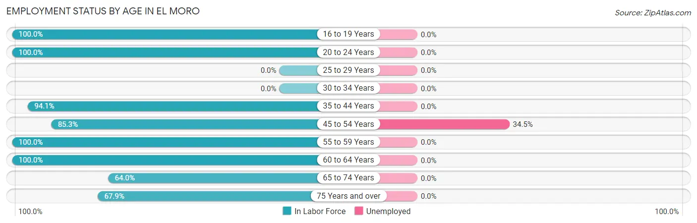 Employment Status by Age in El Moro