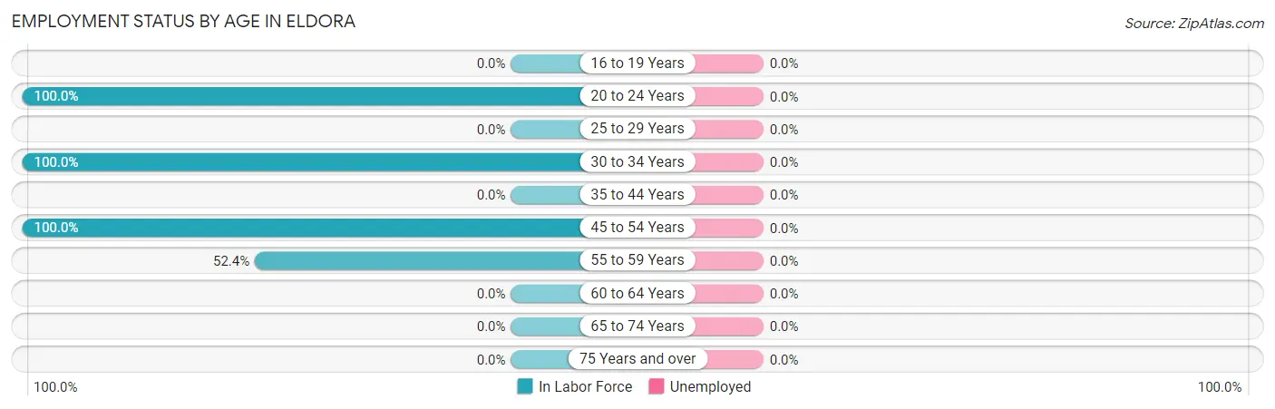 Employment Status by Age in Eldora