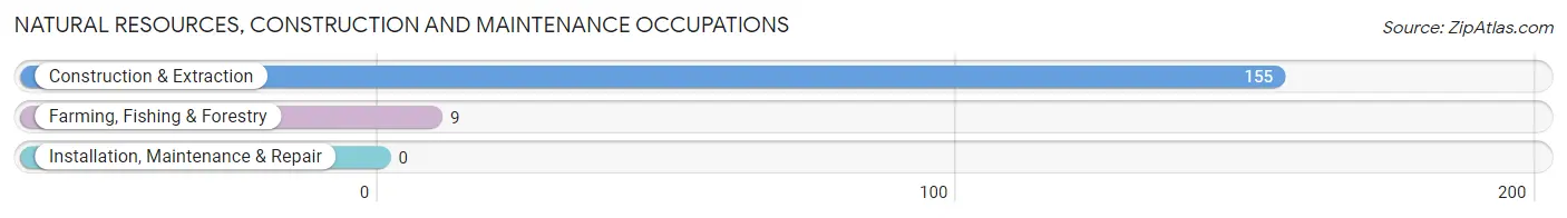 Natural Resources, Construction and Maintenance Occupations in Ellicott