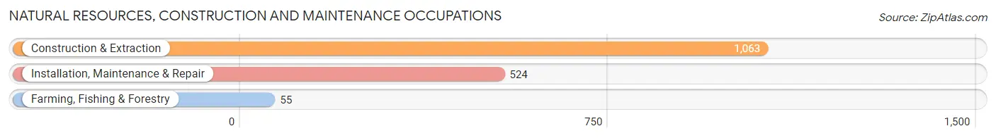 Natural Resources, Construction and Maintenance Occupations in Englewood