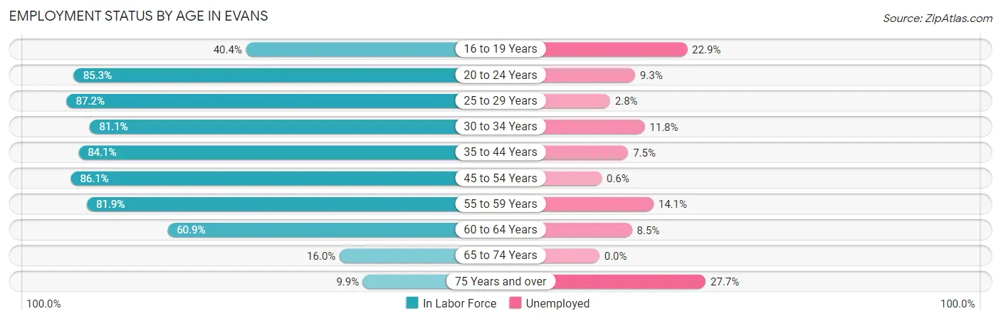 Employment Status by Age in Evans