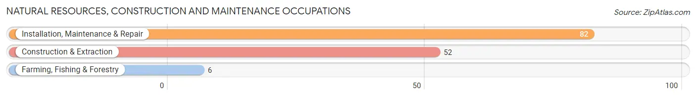 Natural Resources, Construction and Maintenance Occupations in Evergreen