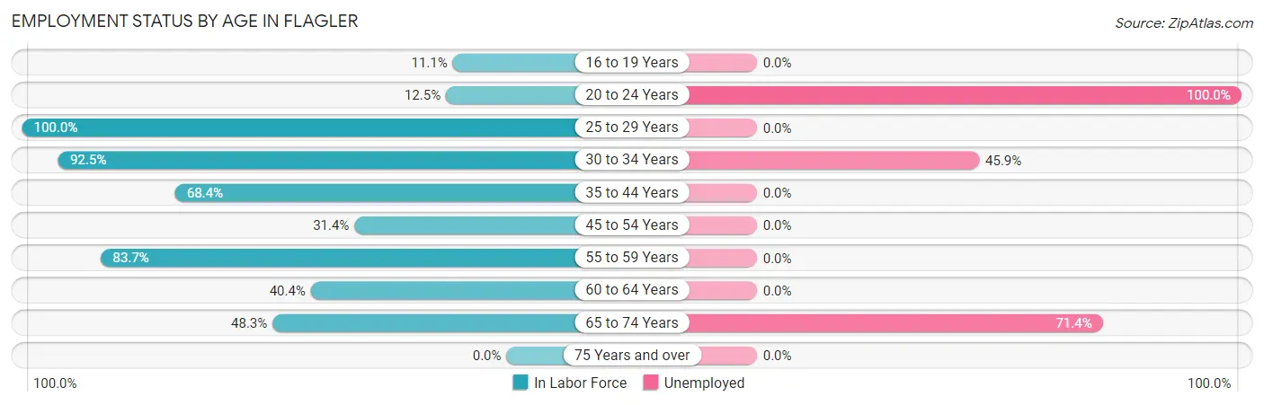 Employment Status by Age in Flagler