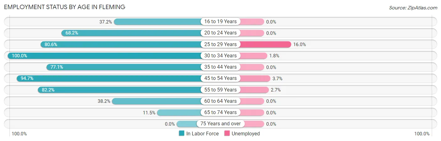Employment Status by Age in Fleming