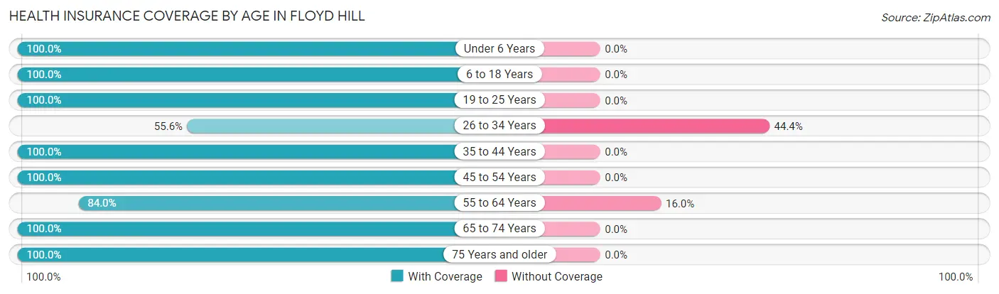 Health Insurance Coverage by Age in Floyd Hill