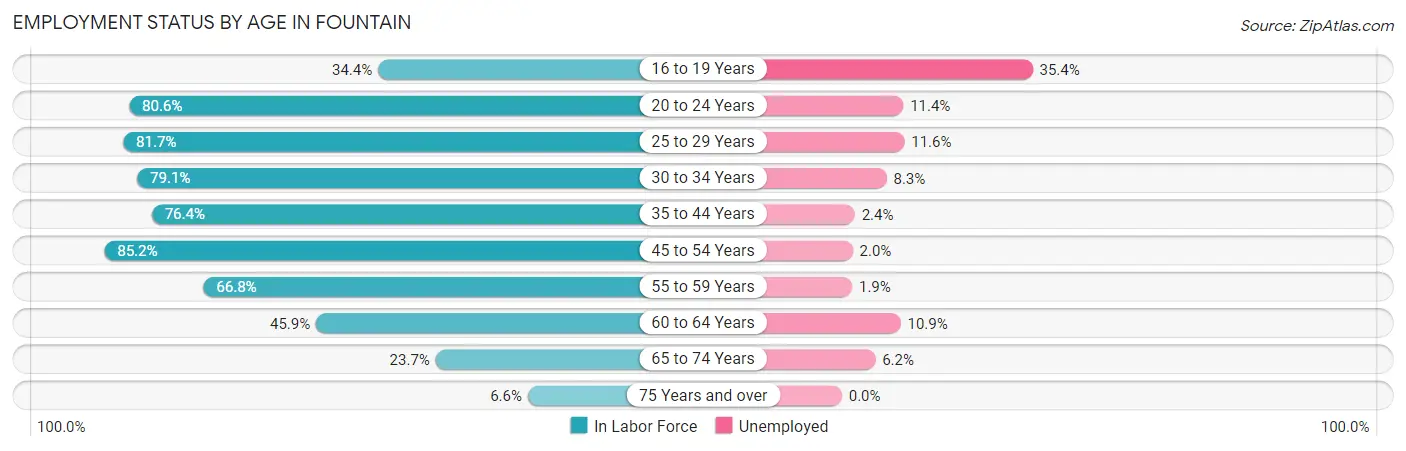 Employment Status by Age in Fountain