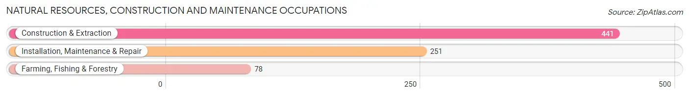 Natural Resources, Construction and Maintenance Occupations in Four Square Mile