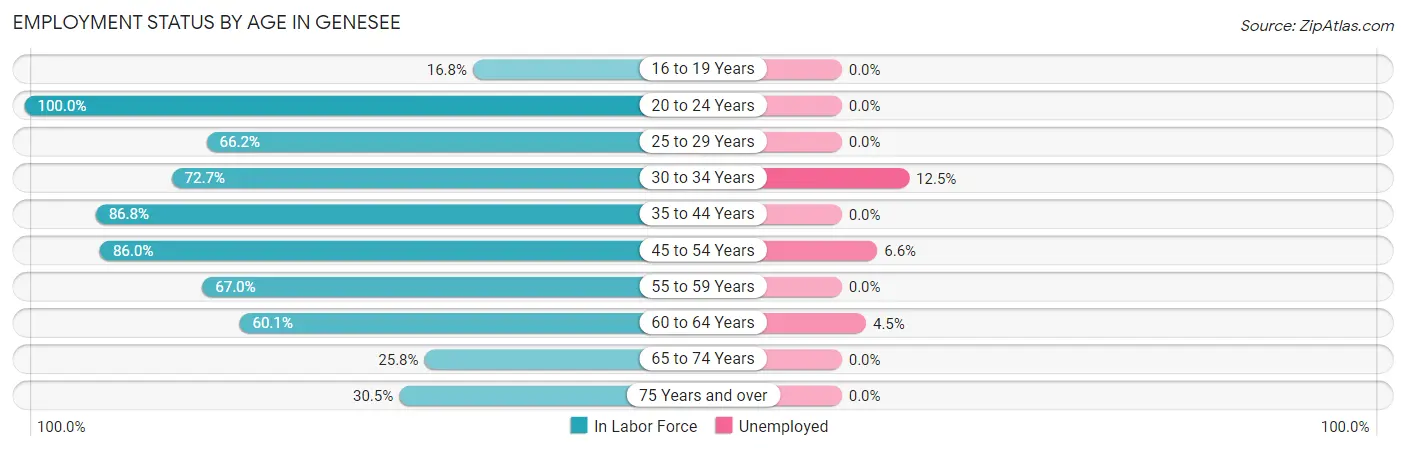Employment Status by Age in Genesee