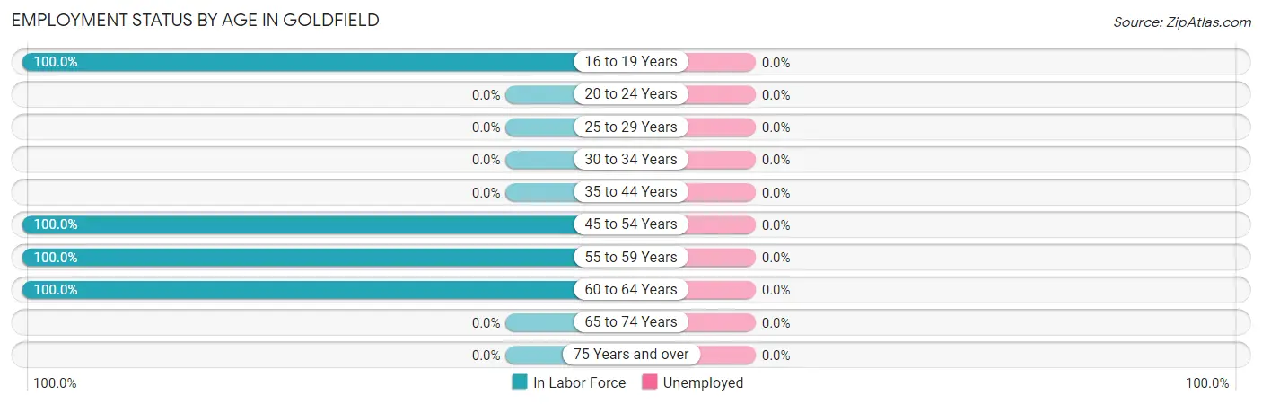 Employment Status by Age in Goldfield