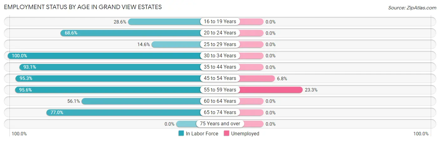 Employment Status by Age in Grand View Estates