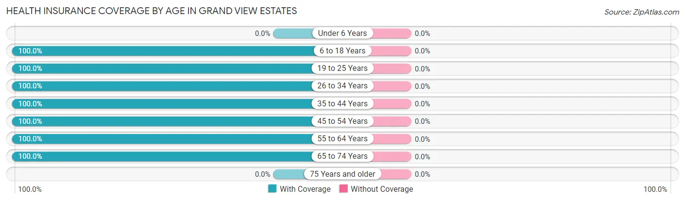 Health Insurance Coverage by Age in Grand View Estates