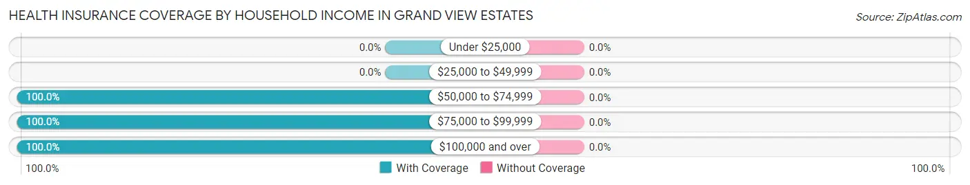 Health Insurance Coverage by Household Income in Grand View Estates