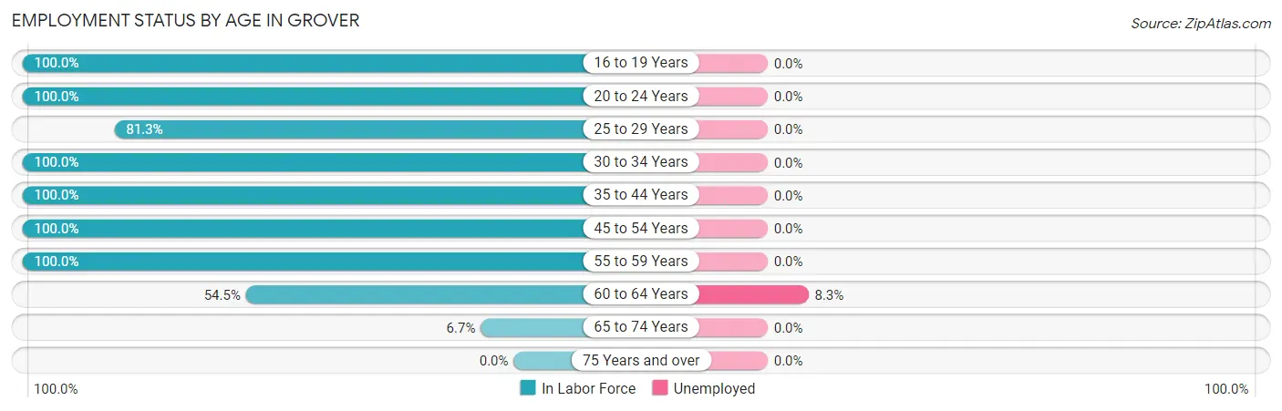 Employment Status by Age in Grover