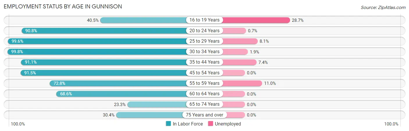 Employment Status by Age in Gunnison