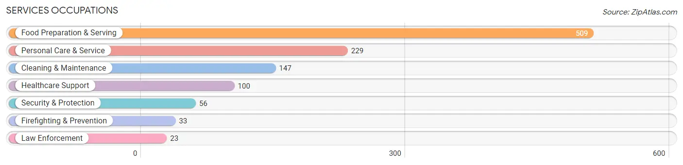 Services Occupations in Gunnison