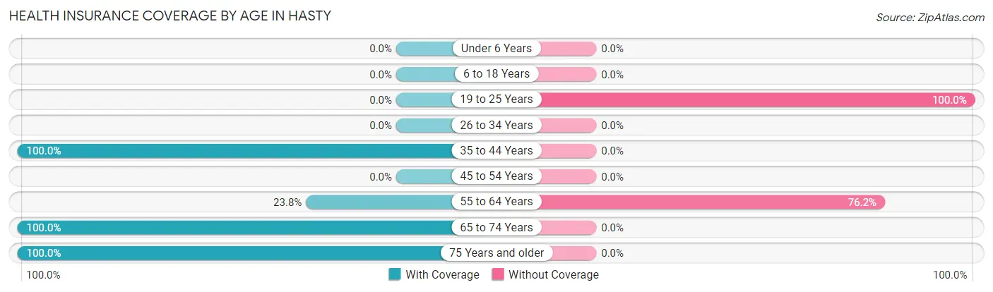 Health Insurance Coverage by Age in Hasty