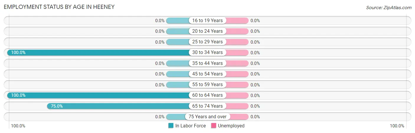 Employment Status by Age in Heeney