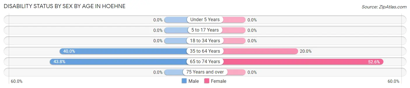 Disability Status by Sex by Age in Hoehne