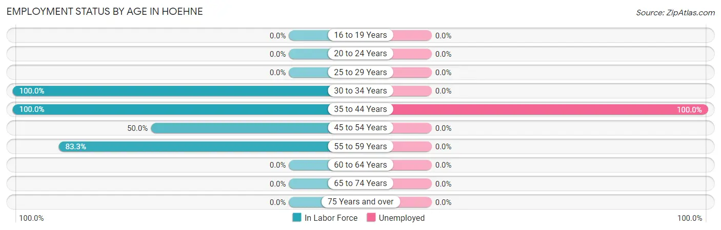 Employment Status by Age in Hoehne